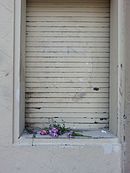 Flowers on a sill, downtown El Paso, 2016.