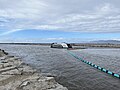 Image 40The Ocean Cleanup is one of many organizations working toward marine conservation such at this interceptor vessel that prevents plastic from entering the ocean. (from Marine conservation)