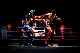 Une des techniques du muay-thai coup de pied circulaire.