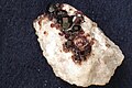 10 Millimeter große Uvitkristalle auf Magnesit aus Brumado/Bahia, Brasilien