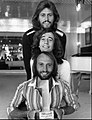 Robin (au milieu) et Maurice Gibb (en bas), avec leur frère Barry Gibb (en haut), du groupe The Bee Gees