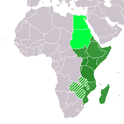 東非的位置
