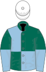 Dark Green and Light Blue (quartered), halved sleeves, White cap