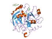 2od3: Human thrombin chimera with human residues 184a, 186, 186a, 186b, 186c and 222 replaced by murine thrombin equivalents.