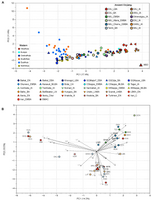 Principal component analysis (PCA) based on mitochondrial DNA (mtDNA) haplogroup frequencies of ancient and present-day Eurasian populations, with Shirenzigou samples