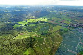 Weinberg von Michelbach Am Wald