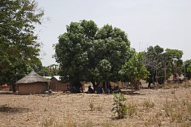 Village dans l'Atacora.