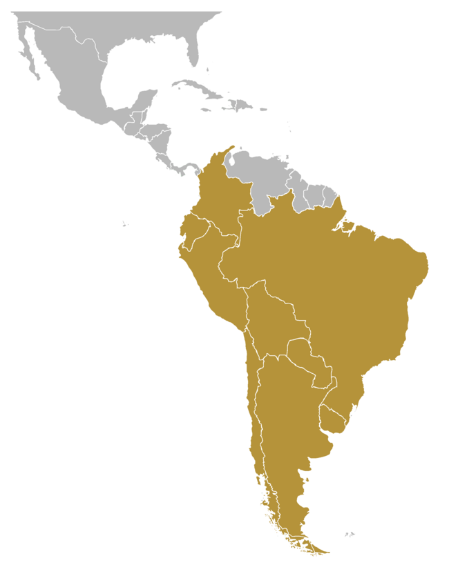 Copa de Campeones de América 1961 está ubicado en América del Sur