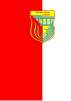 Flag of Kičevo