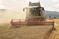 The combine Claas Lexion 584 in the wheat harvest.jpg