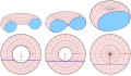 Torus: Cassini-Kurven