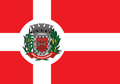 Bandeira de Presidente Castello Branco
