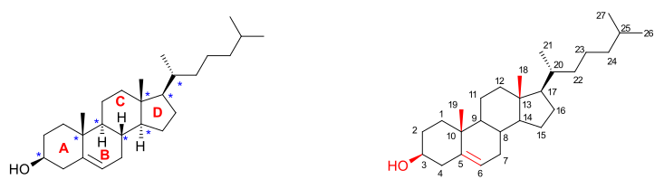 Cholesterol overview