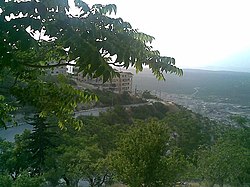 Hutan biasa di salah satu lembah yang mengelilingi Idlib (2009).