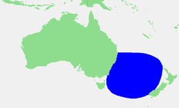 Tasmanzee