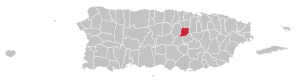 Map of Puerto Rico highlighting Naranjito Municipality