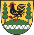 gallo nero ardito e cantante (Gräfenhain, Germania)