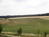 Gartequelle inmitten einer Wiese östlich von Weißenborn