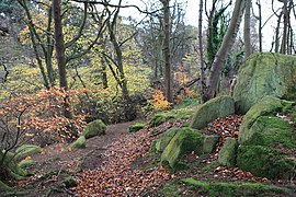 Woodland and rock formations