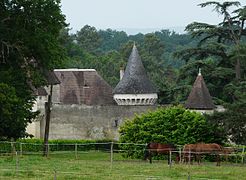 Le château de Borie-Petit vu de l'est.