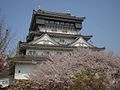 Sakura wokół zamku