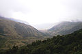 Lanneg c'hleborek en Ecuador.