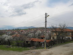 Изглед на село Паничерево