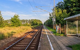 Bahnsteig des Haltepunkts Raddusch (2017)