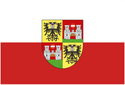 Wiener Neustadt - Bandera