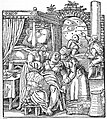De Conceptu et Generatione Hominis, Jacob Rueff (de), 1554[note 4].