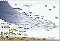 Image 74Fishing down the food web (from Marine food web)