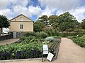 Kitchen gardens