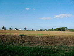 Corn stubble near Weidmanville