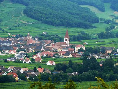 Vue sur le village d'Ammerschwihr depuis les hauteurs de Sigolsheim.