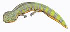 蛙鱷（Batrachosuchus watsoni）
