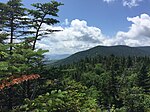 At Killington View on the Long Trail in the Breadloaf Wilderness in the Green Mountain National Forest