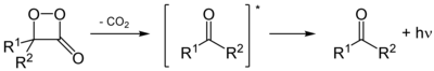 Decarboxylierung des oxidierten D-Luciferins