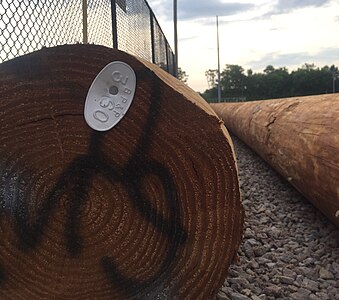 Tag and marking on the bottom of a wooden utility pole before it is installed