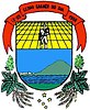 Coat of arms of Cerro Grande do Sul