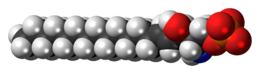 Space-filling model of the sphingosine-1-phosphate anion