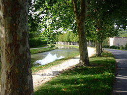 Skyline of Saint-Amand-Montrond