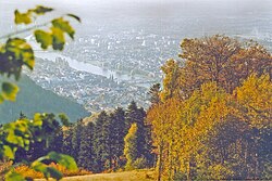 Aussicht vom Königstuhl auf Heidelberg