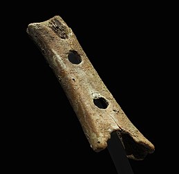 La flûte de Divje Babe (environ 43 000 AP, musée national de Slovénie). (définition réelle 3 768 × 3 670)