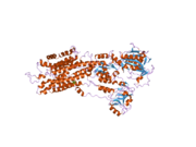 2eas: Crystal structure of the SR CA2+-ATPASE with bound CPA