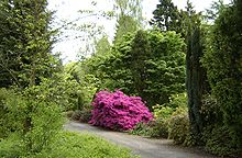 Von Gimborn Arboretum, Doorn