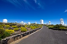 Route et bâtiments blancs de l'observatoire entourés de buissons jaunes.