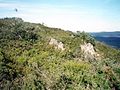 summit of Big Badja Hill, Deua National Park