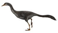 Halszkaraptor