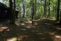 Bild 4: Umbiegender Wallverlauf im Südosten, Blick vom Vorgelände aus (August 2013)