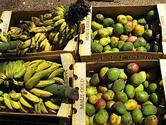 Freshly harvested mangoes and bananas at a fruit stand on the island of Maui